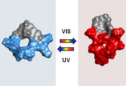 Successful laboratory test of photoswitchable anti-tumor agent