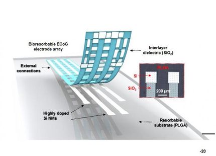 Animal study shows flexible, dissolvable silicon device promising for brain monitoring
