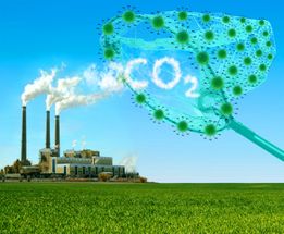 Novel functionalized nanomaterials for CO2 capture