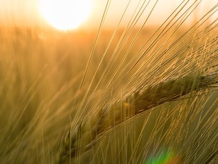 Making plants fit for climate change