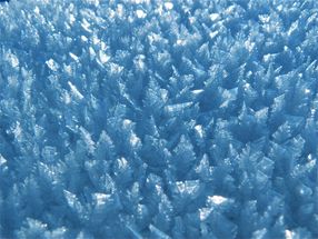 Scientists getting warmer on mimicking anti-freeze in nature