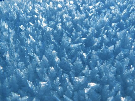 Scientists getting warmer on mimicking anti-freeze in nature