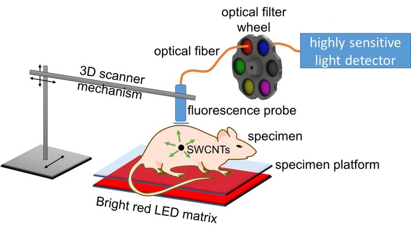 Weisman Lab/Rice University