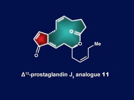 Rice University lab simplifies total synthesis of anti-cancer agent