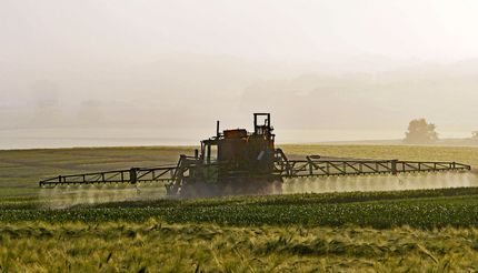 Bayer will Monsanto: «Historische Chance» oder teures Abenteuer?