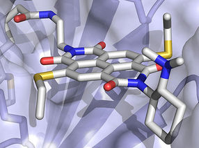 A Negative Enzyme Yields Positive Results