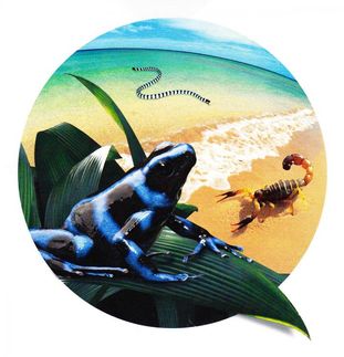 Harnessing nature's vast array of venoms for drug discovery