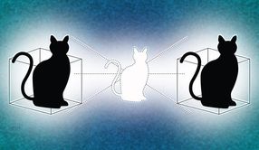 Doubling down on Schrödinger's cat