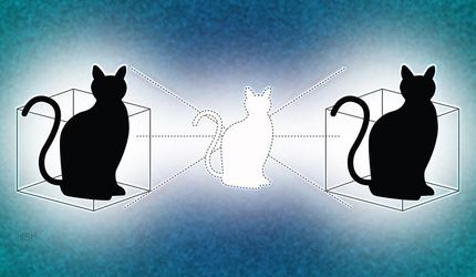 Doubling down on Schrödinger's cat