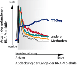 Reading between the genes