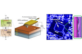 Microwave microscopy of ferroelectric domains
