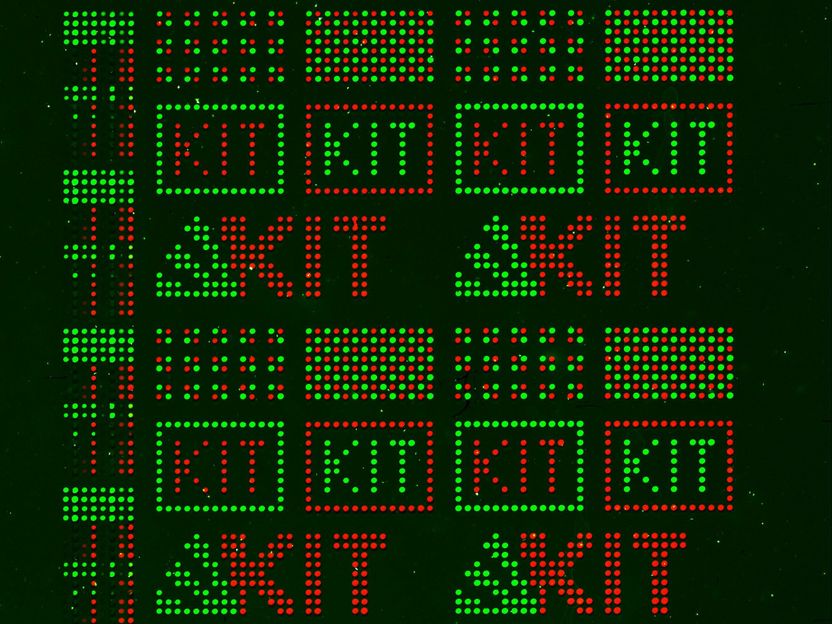 Synthesechemie auf kleinstem Raum - Gemeinsame Entwicklung von Chemikern, Physikern und Maschinenbauern ermöglicht 50.000 Reaktionen gleichzeitig