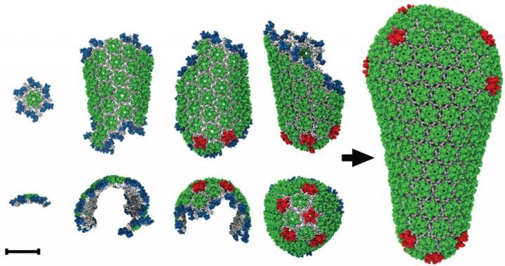 John Grime and others, Nature Communications, doi: 10.1038/ncomms11568 and Nature 469:424-427 2011