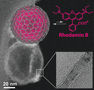 Befüllbare Nanokapseln