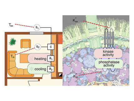 A protein showcases modern measuring and control technology