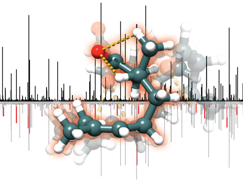 © S. R. Domingos / MPI for the Structure and Dynamics of Matter