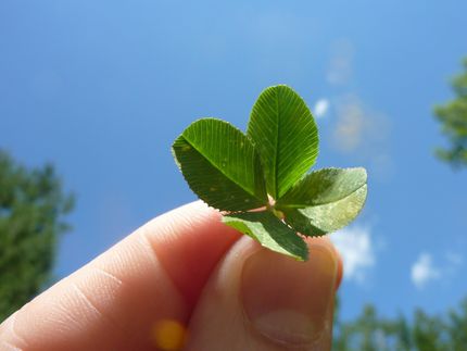 Das Glück liegt (nicht) in einzelnen Genen