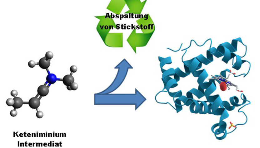 "Bausteine des Lebens" können auch unnatürlich sein - Chemiker entdecken einfache Reaktion zur Herstellung von Aminosäuren