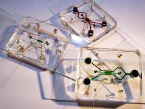 New microfluidic device offers means for studying electric field cancer therapy