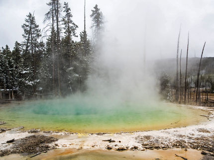 Scientists isolate, culture elusive Yellowstone microbe