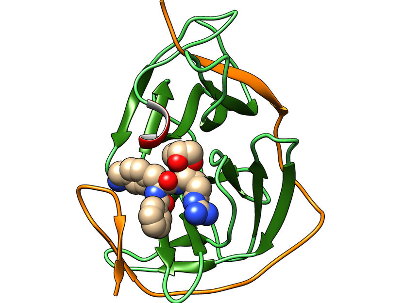 Hilgenfeld et al.