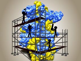 A Peek into the “Birthing Room” of Ribosomes