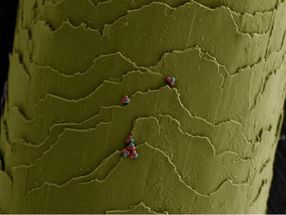 Tiny transformers: Chemists create microscopic and malleable building blocks
