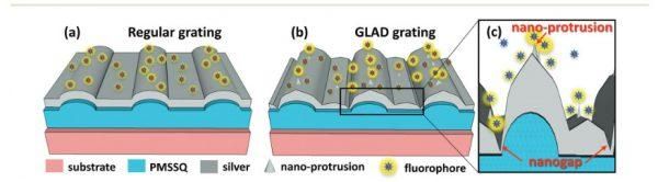 Shubhra Gangopadhyay/Nanoscale