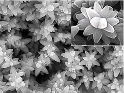 Surface tension can sort droplets for biomedical applications