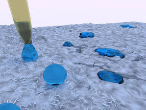 Water-resistant thanks to a biofilm