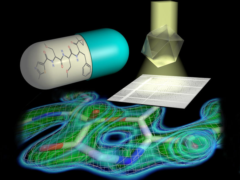 © Hartmut Sebesse / Max Planck Institute for Biophysical Chemistry