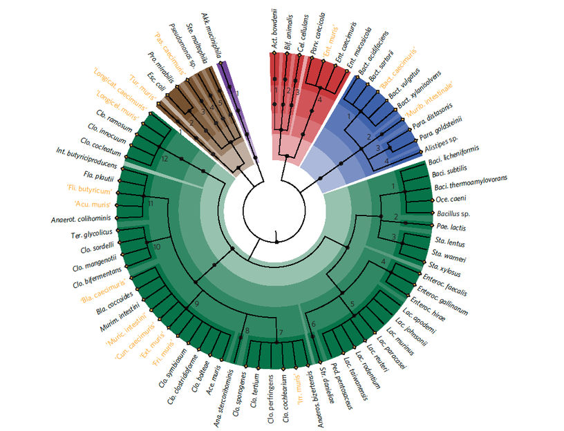 Quelle: Nature Microbiology