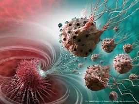 Legions of nanorobots target cancerous tumors with precision