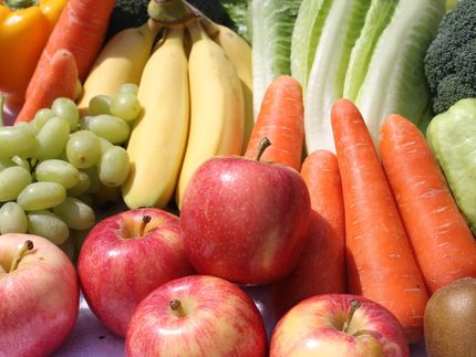 Proteinarme Ernährung verbessert Zucker-Stoffwechsel