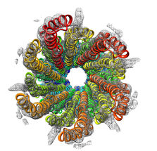 Atomare Strukturen von Proteinen aufgeklärt
