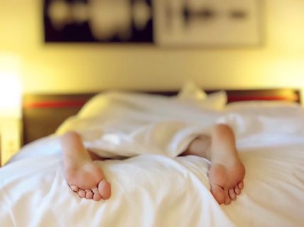 Gehirn räumt im Schlaf auf – und bleibt dadurch lernfähig