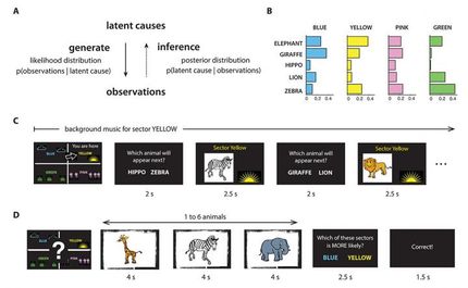 The brain performs feats of math to make sense of the world