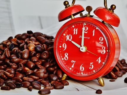 Caffeine and its analogues revert memory deficits by normalizing stress responses in the brain