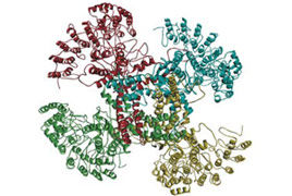 Riehle et al., JASN, 2016