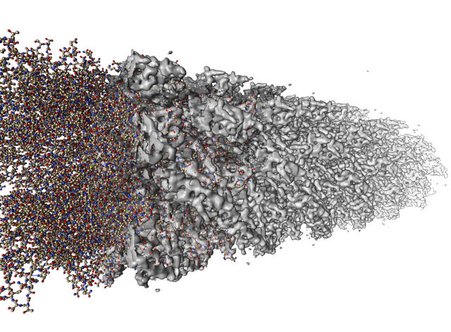 Neue Mikroskopie-Technik bringt Feinstrukturen des Lebens ans Licht - Forscher erstellen Modell eines Protein-Filaments in atomarem Detail