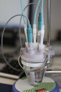 Die Geburt des Partikels