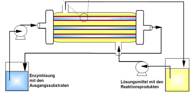 Institut für Bioprozess- und Analysenmesstechnik e.V.