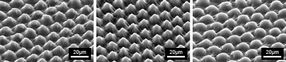 Mikrostrukturierte Spritzguss gefertigte Fluidmikrosysteme für die Tropfen-basierte Mikrofluidik