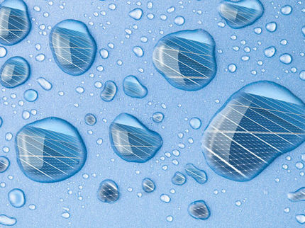 Water helps assembly of biofibers that could capture sunlight