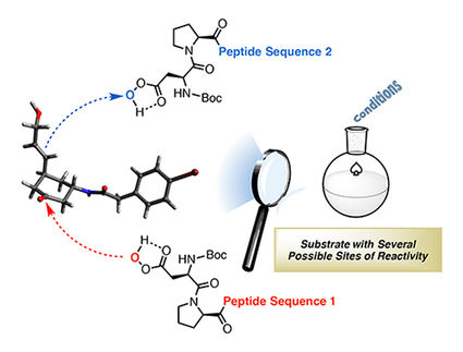 Small molecules lead to a big change in reaction outcomes