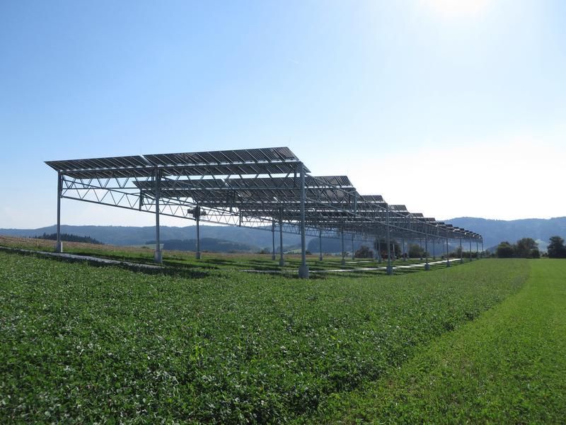 Photovoltaics and Photosynthesis - Pilot plant at Lake Constance combines electricity and crop production