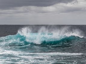 Vielfalt der Viren in Ozeanen dreimal höher als bislang bekannt