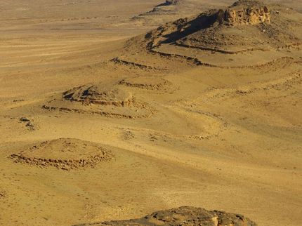 New study provides strongest evidence that oxygen levels were key to evolution of early animals