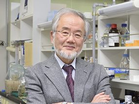 Yoshinori Ohsumi receives Nobel prize for the discovery of autophagy