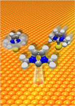 Wissenschaftler zeigen: Carben-Moleküle "reiten" auf Gold-Atomen